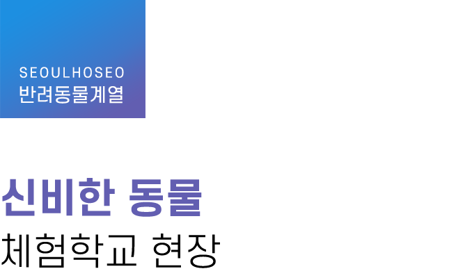 반려동물계열 | 신비한 동물 체험학교 현장