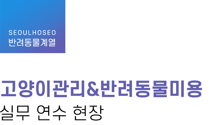 반려동물계열 | 고양이관리&반려동물미용 실무 연수 현장