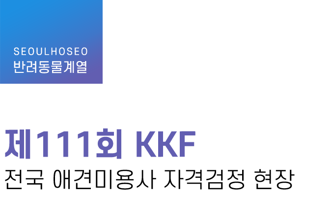 반려동물계열 | 제111회 KKF 전국 애견미용사 자격검정 현장