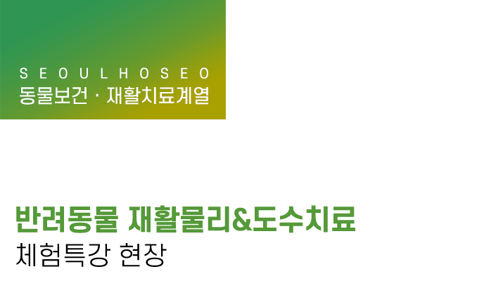 동물보건·재활치료계열 | 반려동물 재활물리&도수치료 체험특강 현장