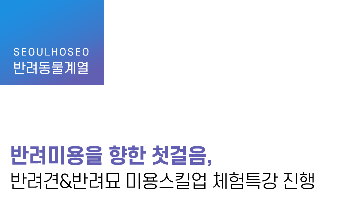 반려미용을 향한 첫걸음, 반려견&반려묘 미용스킬업 체험특강 진행