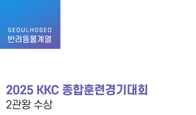 2025 KKC 종합훈련경기대회 2관왕 수상