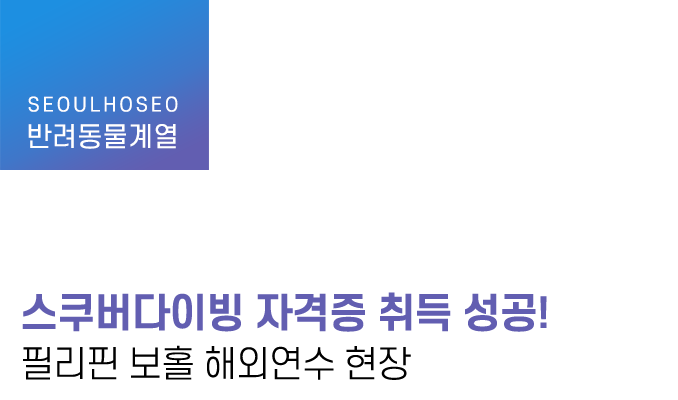 스쿠버다이빙 자격증 취득 성공! 필리핀 보홀 해외연수 현장