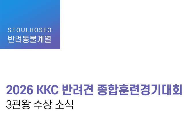 2026 KKC 반려견 종합훈련경기대회 3관왕 수상 소식