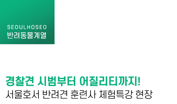 경찰견 시범부터 어질리티까지! 서울호서 반려견 훈련사 체험특강 현장