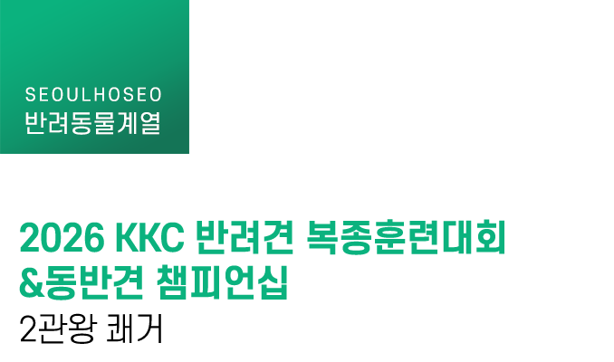2026 KKC 반려견 복종훈련대회&동반견 챔피언십 2관왕 쾌거