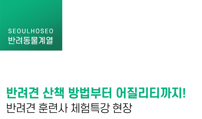 반려견 산책 방법부터 어질리티까지! 반려견 훈련사 체험특강 현장