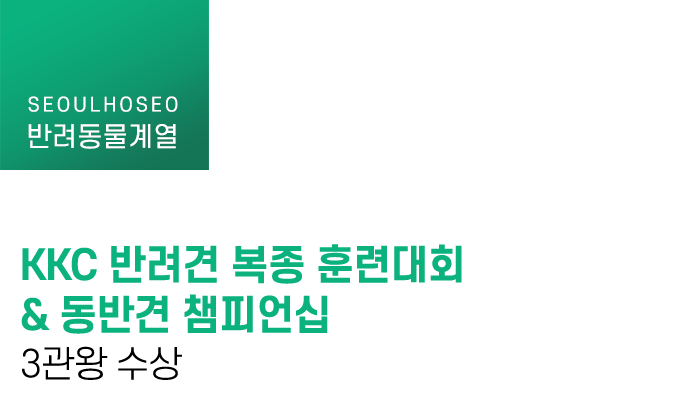 KKC 반려견 복종 훈련대회 & 동반견 챔피언십 3관왕 수상
