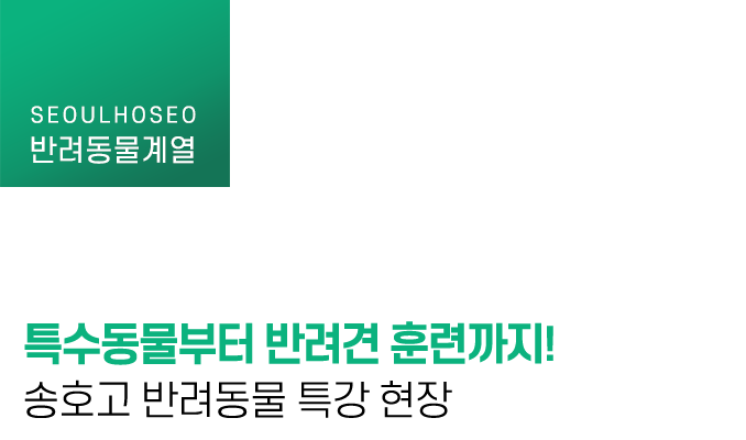 특수동물부터 반려견 훈련까지! 송호고 반려동물 특강 현장
