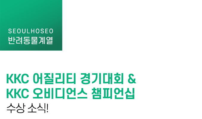 KKC 어질리티 경기대회&KKC 오비디언스 챔피언십 수상 소식!