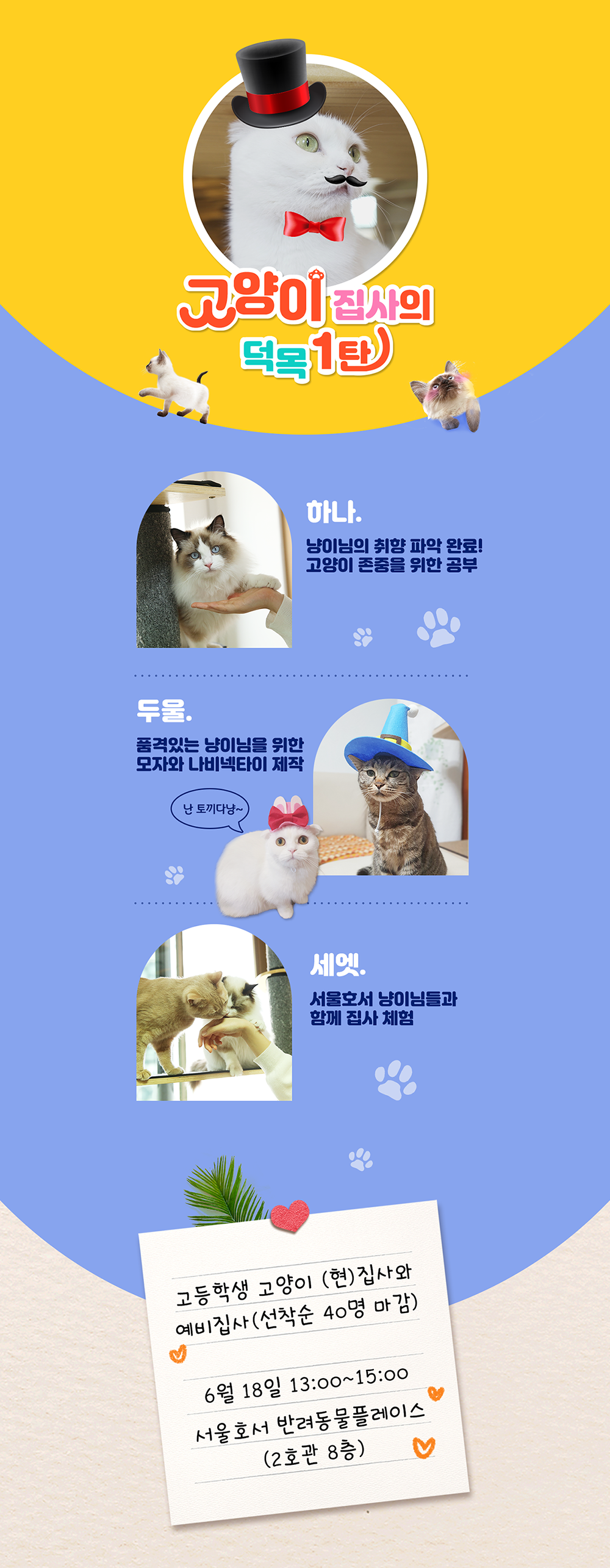 고양이 집사의 덕목 1탄