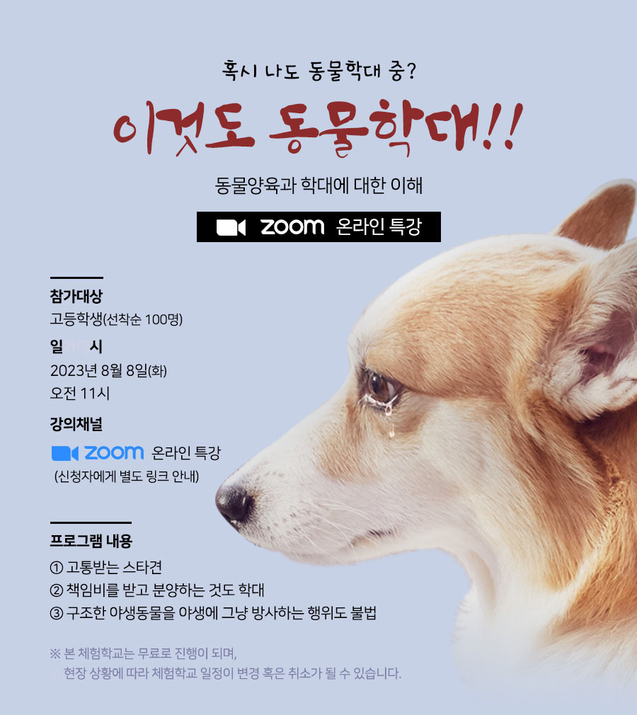 이것도 동물학대
