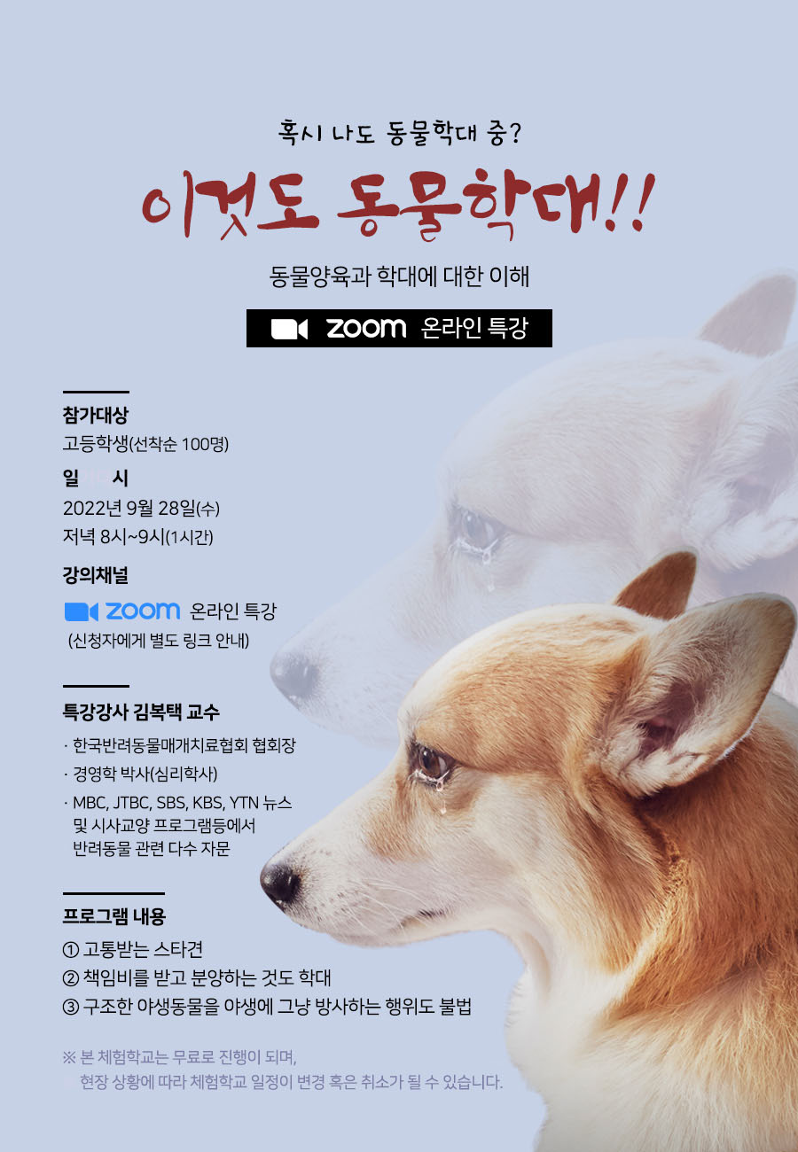 이것도 동물학대