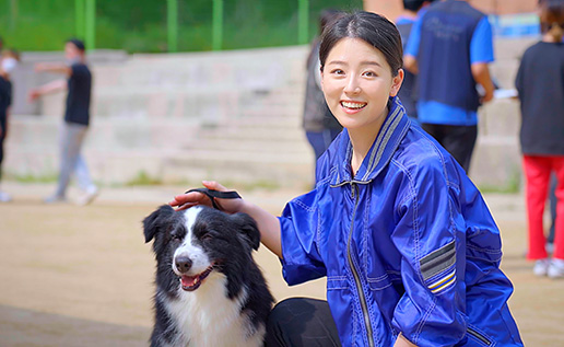 반려동물계열 관련이미지
