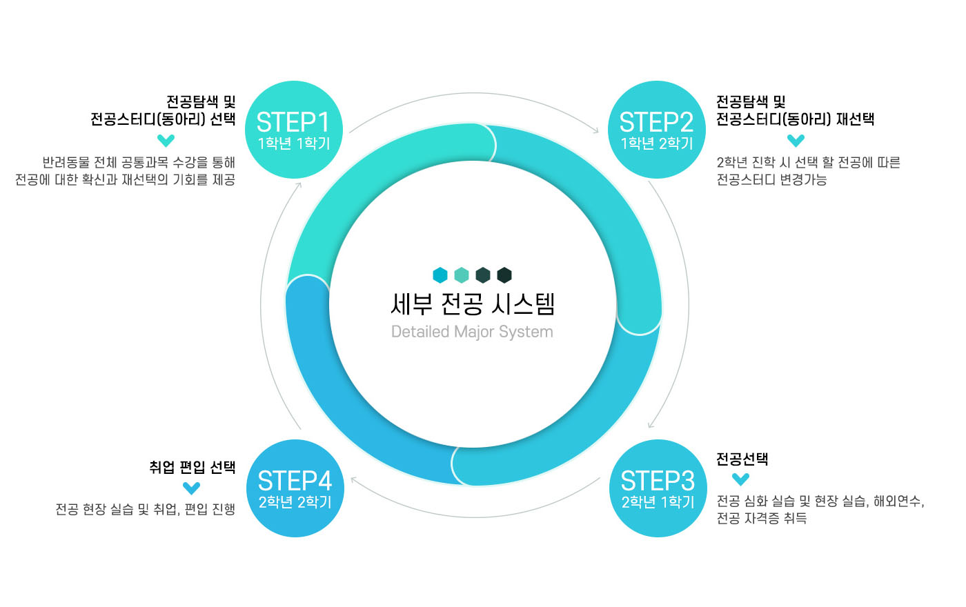 세부 전공 시스템