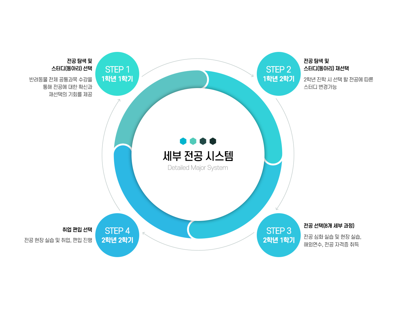 세부 전공 시스템