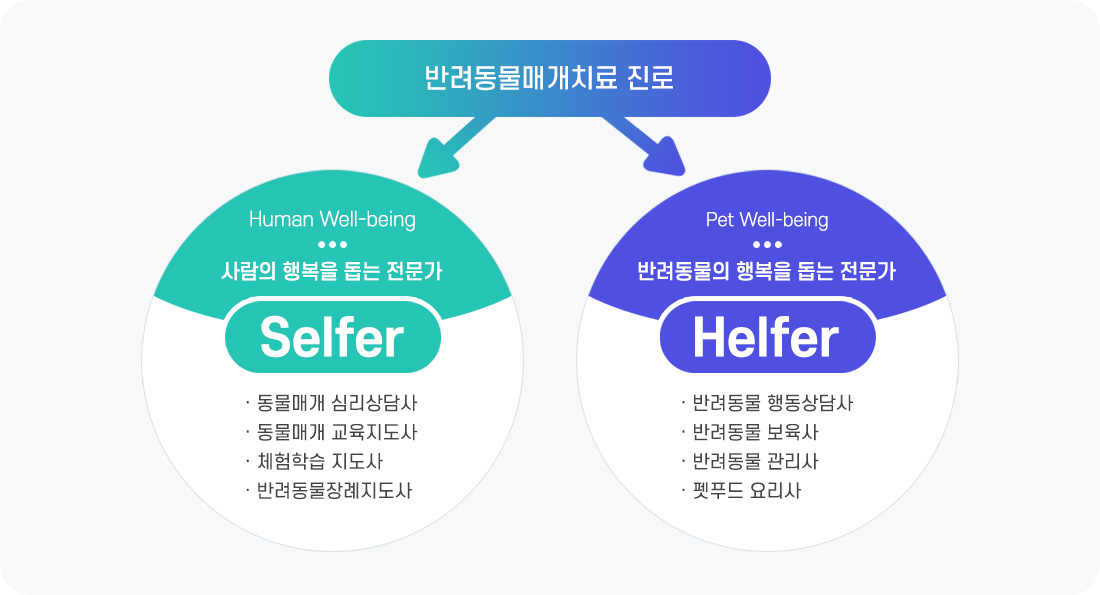 반려동물매개치료 진로 이미지