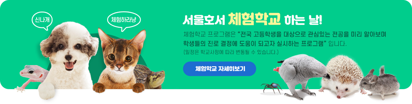 서울호서 체험학교 하는 날
