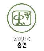 곤충사육 충연