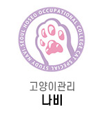 고양이관리 나비