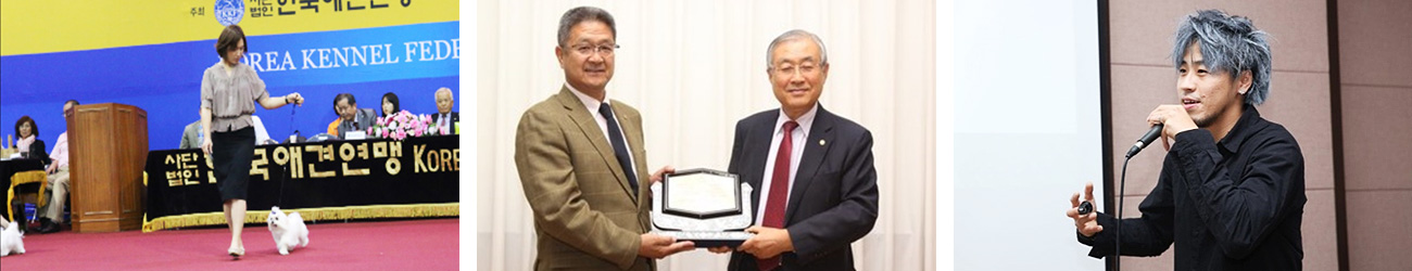 현직 전문가들로 구성된 교수진