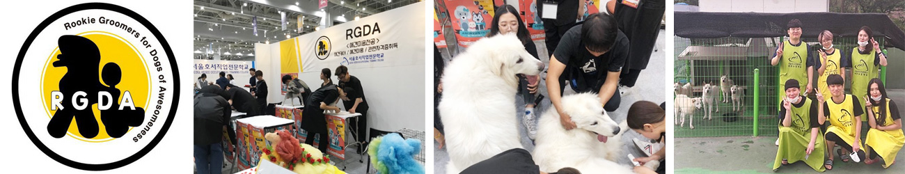 전공 파일럿을 통한 현장 실무 능력 증대