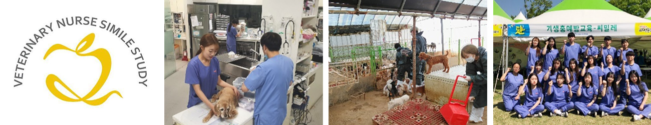 전공 스터디 운영으로 현장실무능력 증대